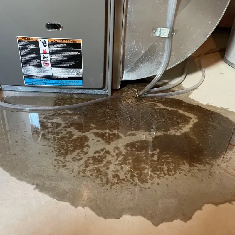 Appliance Leak Cleanup in Glencoe, FL